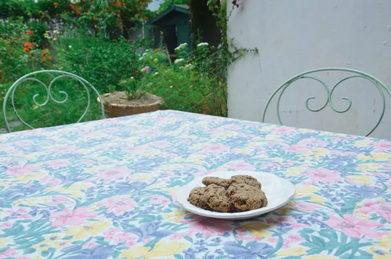 biscuit sans gluten recette