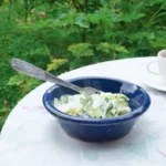 Concombre au yaourt végan (2)