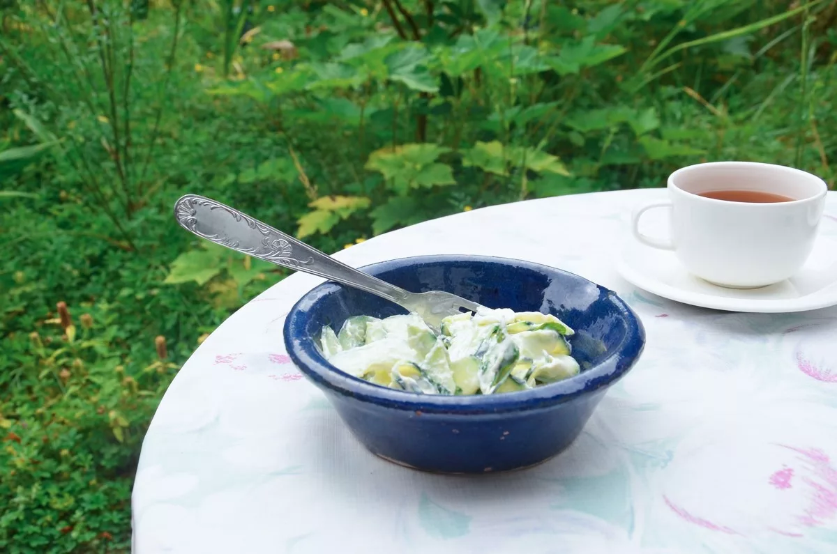 Concombre au yaourt (vegan)