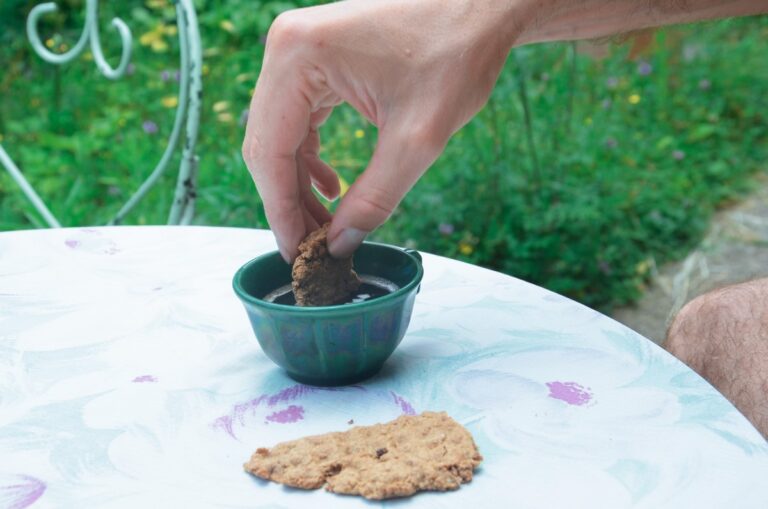 speculoos vegan recette (4)